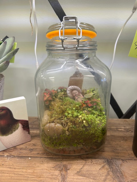 Fairy Terrarium