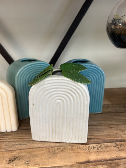 Rainbow Ceramic Vases/planter